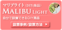 �}���u���C�g